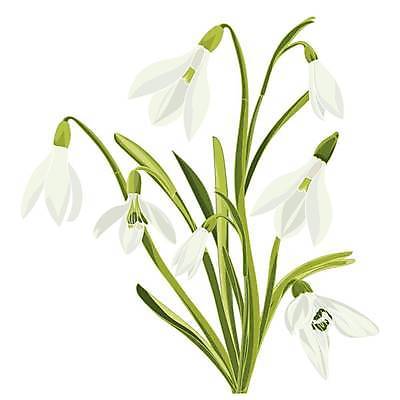 EPS 해외이미지 식물 디자인 계절 꽃잎 꽃 선 줄기 꽃다발 결혼 백그라운드 잎 꽃무늬 패턴 일러스트 자연 추상 부활절 미술 그래픽 장식 초록색 세트 정원 봄 낭만 수확 벚꽃 흰색 생일 개화 수집 화단 내추럴 고립 엘리먼트 헌병 스타일 해외일러스트 기념일 컬러 컨셉 무늬 농업 문화예술 이벤트 군인 생태계 파일형식 벡터 이미지허브