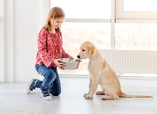 포토 JPG 해외이미지 전신 응시 여자 어린이 휴식 실내 사랑 한명 미소 들기 앉기 소녀 반려동물 귀여움 개 리트리버 무릎꿇기 주기 돌봄 먹이그릇 소녀한명만 펫팸족 해외포토 동물 1 그릇 시선 감정 컨셉 포유류 모션 표정 사람 내부 신조어 여자한명만 소녀만 파일형식 이미지허브