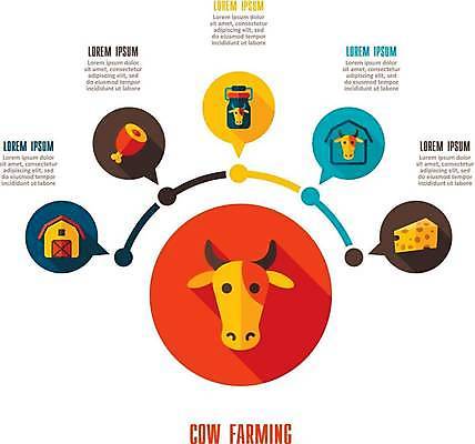 EPS 해외이미지 말풍선 일러스트 비즈니스 치즈 사람없음 농장 목장 인포그래픽 소고기 우유 정보 소 외양간 목차 해외일러스트 농업 포유류 유제품 육류 파일형식 벡터 이미지허브