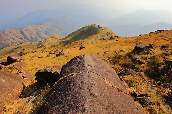 포토 JPG 해외이미지 식물 계절 여행 백그라운드 밭 자연 산 건조 따뜻함 사람없음 야외 컬러풀 햇빛 노란색 환경 골짜기 맑음 하이킹 자유 탐험 시골 황금 저녁 땅 언덕 산등성이 장면 격려 내추럴 전국 해외포토 감정 컬러 컨셉 농업 모션 레저 날씨 태양 야간 생태계 파일형식 이미지허브