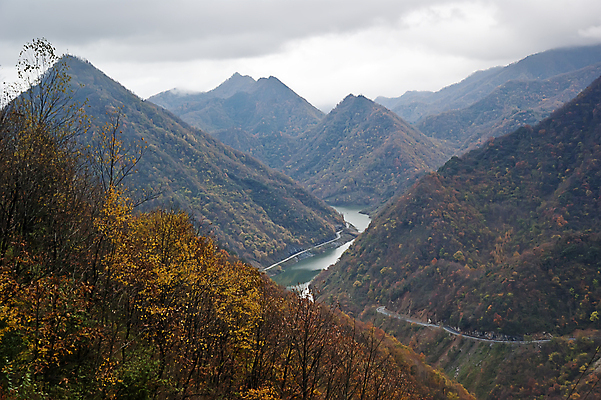 포토 JPG 해외이미지 나무 식물 여행 백그라운드 잎 오렌지 자연 날씨 풍경 사람없음 야외 빨간색 초록색 노란색 정원 중국 가을 황금 숲 그림 장면 해외포토 계절 아시아 컬러 과일 생태계 파일형식 이미지허브
