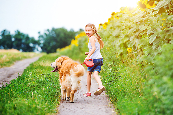 포토 JPG 해외이미지 동물 백인 라이프스타일 공원 여자 행복 어린이 밭 장난 응원 자연 휴식 한명 사람 초원 야외 초록색 여름 반려동물 우정 황금 개 리트리버 래브라도리트리버 해외포토 서양인 1 계절 공공시설 감정 컬러 컨셉 농업 포유류 생활 친구 생태계 파일형식 이미지허브