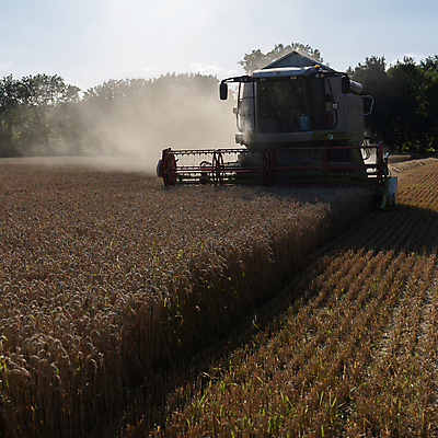 포토 JPG 해외이미지 식물 계절 산업 음식 빵 밭 농업 자연 하늘 옥수수 씨앗 풍경 사람없음 여름 파란색 농작물 농장 농경지 노란색 기계 일몰 장비 수확 성장 가을 시골 업무 황금 결합 낟알 땅 자르기 시리얼 밀 보리 귀 장면 트랙터 트레일러 밀짚 밭일 숙성 호밀 해외포토 컬러 모션 곡류 신체부위 노을 작업 짚 농기계 생태계 특수차량 파일형식 이미지허브