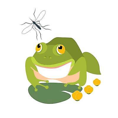 EPS 해외이미지 클립아트 동물 캐릭터 야생동물 잎 일러스트 자연 개구리 양서류 미소 그래픽 초록색 물 수중 식사 연못 습지 백합 만화 배고픔 생태계 심플 코믹 두꺼비 패드 해외일러스트 일러캐릭터 자연요소 식물 꽃 컬러 표정 파일형식 벡터 이미지허브