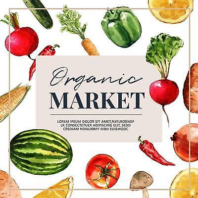 EPS 해외이미지 포스터 토마토 채소 일러스트 고추 양파 피망 오이 수박 파프리카 옥수수 타이포그라피 사람없음 버섯 당근 레몬 유기농 메뉴판 채소가게 적환무 해외일러스트 문자 웰빙 과일 곡류 뿌리채소 상점 무 파일형식 벡터 이미지허브