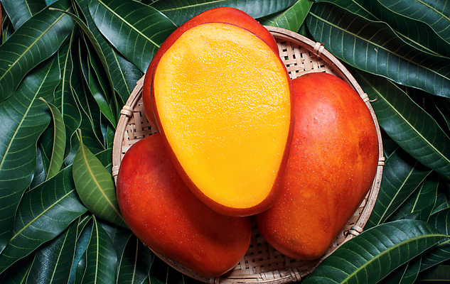 포토 JPG 해외이미지 나뭇잎 근접촬영 사람없음 빨간색 노란색 바구니 망고 해외포토 뷰포인트 컬러 잎 열대과일 파일형식 이미지허브