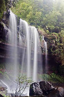 포토 JPG 해외이미지 사람없음 초록색 중국 폭포 대나무 생태계 내추럴 해외포토 나무 아시아 컬러 자연 파일형식 이미지허브