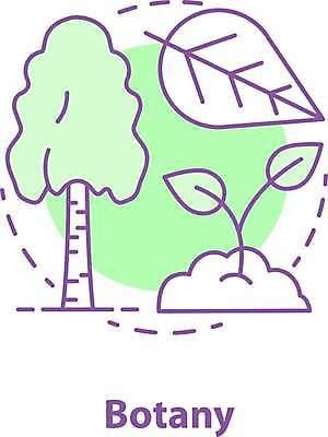 EPS 해외이미지 나무 식물 디자인 공원 산업 선 과학 컨셉 잎 일러스트 자연 추상 아이디어 미술 그래픽 스터디 픽토그램 새싹 환경 웹 나뭇가지 보호 목표 숲 연결 접속 심볼 사인 그림 생물학 윤곽 자작나무 고립 얇은 엘리먼트 왕국 해외일러스트 공공시설 교육 무늬 인터넷 문화예술 학습 생태계 파일형식 벡터 시설 이미지허브
