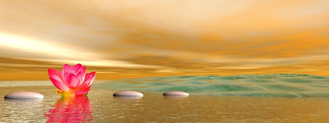 포토 JPG 해외이미지 식물 꽃잎 꽃 종교 선 분홍색 여행 백그라운드 패턴 불교 태국 자연 추상 연꽃 3 미술 동양인 사람없음 장식 물 침묵 벚꽃 사찰 개화 우아함 백합 인도인 B 심볼 순수 싱크대 방콕 신성 단계 해외포토 자연요소 외국인 알파벳 아시아 컬러 컨셉 무늬 종교건축 문화예술 인종 소리 개수대 생태계 파일형식 이미지허브