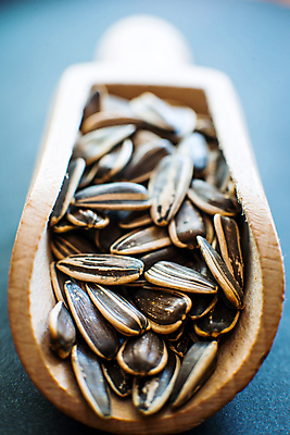 포토 JPG 해외이미지 식물 꽃 음식 백그라운드 농업 다이어트 재료 자연 해바라기 건강 씨앗 사람없음 목재 숟가락 검은색 껍질 그룹 낟알 굽기 묘사 질감 알맹이 날것 흙더미 채식주의자 해외포토 나무 산업 컬러 수저 흙 구이 생태계 채식 파일형식 더미 이미지허브