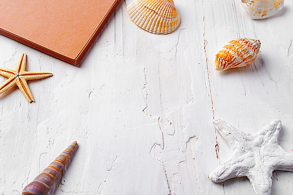 포토 JPG 해외이미지 불가사리 사람없음 조개껍데기 소라 스프링노트 나무탁자 카피스페이스 해외포토 탁자 조개 어패류 극피동물 공책 공백 파일형식 이미지허브