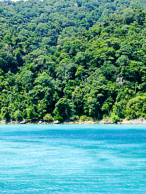 포토 JPG 해외이미지 나무 공원 아시아 모래 바다 섬 여행 잎 태국 자연 휴가 손바닥 풍경 사람없음 야외 물 여름 파란색 야자수 햇빛 침묵 전원 숲 열대우림 전국 터키석 파라다이스 수평선 그리너리 해외포토 자연요소 식물 손 계절 공공시설 나라 컬러 태양 소리 전기에너지 보석 생태계 파일형식 트랜드컬러 이미지허브