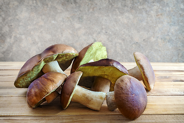 포토 JPG 해외이미지 식물 접시 음식 백그라운드 채소 자연 탁자 실내 건강 요리 사람없음 목재 가로 빨간색 노란색 주방 저녁식사 버섯 신선 그룹 정상 숲 유기농 날것 내추럴 그물버섯 식용 채식주의자 카피스페이스 맛있는 해외포토 나무 식기 웰빙 컬러 가구 재료 내부 식사 공백 생태계 채식 파일형식 이미지허브