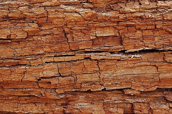 포토 JPG 해외이미지 나무 벽 백그라운드 패턴 오렌지 자연 표면 날씨 사람없음 목재 빨간색 갈색 줄무늬 소나무 거친 균열 떨어짐 천 질감 웨이브 내추럴 그런지 옛날 해외포토 식물 컬러 컨셉 무늬 과일 재료 모션 직물 생태계 파일형식 이미지허브