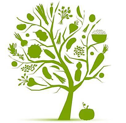 EPS 해외이미지 모양 나무 계절 실루엣 음식 백그라운드 토마토 채소 일러스트 자연 호박 가지 양파 추상 오이 감자 파슬리 건강 사랑 옥수수 미술 그래픽 초록색 당근 샐러드 가을 흰색 하트 낟알 만화 스케치 심볼 사인 그림 유기농 완두콩 양배추 윤곽 후추 딜 비트 채식주의자 총각무 해외일러스트 식물 웰빙 감정 컬러 무늬 문화예술 콩 곡류 뿌리채소 촬영기법 무 향신료 생태계 채식 파일형식 벡터 이미지허브