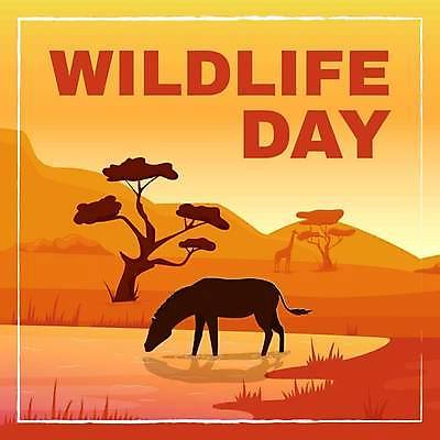 EPS 해외이미지 동물 템플릿 배너 야생동물 백그라운드 일러스트 텍스트 포유류 자연 파노라마 풍경 초원 타이포그라피 그래픽 일몰 다양 덮개 신용카드 플랫 보호 만화 대륙 정사각형 엽서 얼룩말 멸종 온라인 속담 동물상 마케팅 블로그 사바나 이국적 레터링 미니멀 해외일러스트 도형 문자 다수 컨셉 촬영기법 금융 조형물 노을 뚜껑 말_동물 편지 생태계 파일형식 벡터 이미지허브