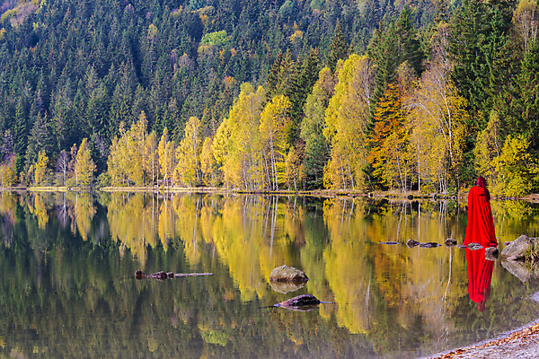포토 JPG 해외이미지 나무 계절 호수 여행 잎 자연 산 항해 풍경 사람없음 목재 빨간색 물 여름 파란색 강 컬러풀 반사 환경 침묵 거울 안개 가을 바위 전원 황금 숲 나무상자 화산 분화구 루마니아 10월 인기 트란실바니아 해외포토 자연요소 식물 유럽 컬러 배_교통 재료 날씨 상자 소리 돌_바위 날짜 전기에너지 생태계 파일형식 이미지허브