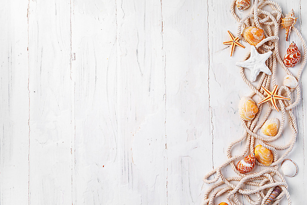 포토 JPG 해외이미지 밧줄 불가사리 사람없음 조개껍데기 소라 나무탁자 카피스페이스 해외포토 줄 탁자 조개 어패류 극피동물 공백 파일형식 이미지허브