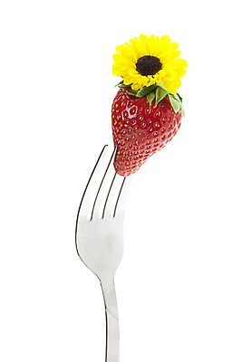 포토 JPG 해외이미지 전통 꽃 음식 빵 백그라운드 포크 곡선 부분 자연 딸기 디저트 나선형 사탕 사람없음 장식 케이크 초콜릿 소용돌이 흰색 달콤 유혹 설탕 먹기 크림 질감 통나무 롤 버터 스펀지 고립 바닐라 어려움 버터크림 해외포토 나무 식물 식기 선 컬러 컨셉 무늬 과일 모션 회오리 맛 생태계 파일형식 이미지허브