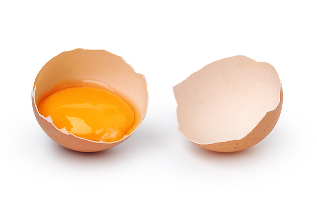 포토 JPG 해외이미지 실내 사람없음 계란 계란껍데기 흰배경 날계란 해외포토 백그라운드 내부 알 흰색 파일형식 이미지허브