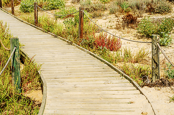 포토 JPG 해외이미지 모래 바다 여행 백그라운드 자연 하늘 휴가 사람없음 목재 울타리 모래사장 햇빛 태양 걷기 맑음 산책로 수확 뜨거움 스페인 보호 널 오솔길 모래언덕 입장 통로 휴양지 보호구역 이국적 파라다이스 해외포토 자연요소 나무 유럽 길 컨셉 농업 재료 모션 날씨 담장 장소 언덕 생태계 구역 파일형식 이미지허브