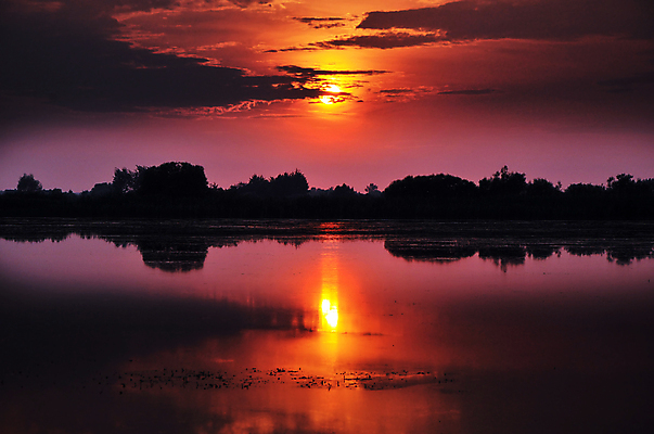 포토 JPG 해외이미지 자연 하늘 사람없음 야외 햇빛 태양 일출 어둠 폴란드 해외포토 자연요소 유럽 노을 생태계 파일형식 이미지허브