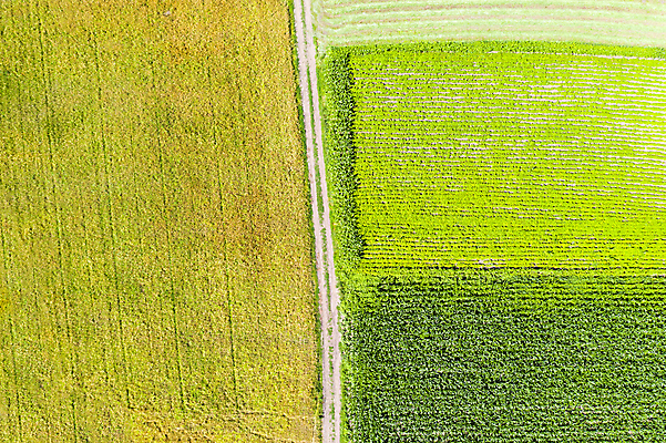 포토 JPG 해외이미지 도로 지구 패턴 밭 농업 자연 안테나 사람없음 초록색 농작물 농장 농경지 노란색 쌓기 환경 수확 시골 신선 원형 건초더미 볏짚 정상 땅 시리얼 밀 질감 보리 지역 뭉치 밀짚 드론 땅바닥 밭일 줄서기 해외포토 도형 산업 길 음식 컬러 무늬 통신 교통시설 모션 곡류 바닥 건초 짚 생태계 파일형식 더미 이미지허브