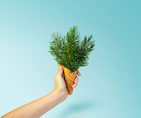 포토 JPG 해외이미지 나무 손 디자인 계절 음식 백그라운드 컨셉 크리스마스 겨울 휴가 디저트 새로움 기념 아이디어 선물 미술 사람없음 장식 초록색 파란색 빛 컬러풀 유행 얼음 축제 추위 흰색 나뭇가지 축하 인사 소나무 신용카드 달콤 12월 연도 크림 국자 잔치 전나무 원뿔 고립 구성 카피스페이스 미니멀 해외포토 자연요소 도형 식물 기념일 컬러 주방용품 문화예술 신체부위 금융 공백 예절 날짜 맛 파일형식 이미지허브