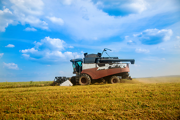 포토 JPG 해외이미지 식물 산업 음식 밭 농업 자연 하늘 옥수수 씨앗 사람없음 야외 농작물 농장 농경지 기계 장비 수확 성장 농촌 시골 업무 황금 농부 낟알 땅 시리얼 밀 보리 먼지 트랙터 밀짚 밭일 파종 호밀 해외포토 직업 곡류 농사 작업 짚 농기계 생태계 특수차량 파일형식 이미지허브