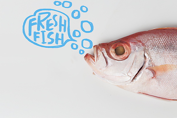 포토 JPG 해외이미지 동물 음식 바다 분홍색 백그라운드 다이어트 자연 낚시 생물 건강 어류 요리 사람없음 빨간색 노란색 세일 주방 흰색 신선 입 시장 큼 먹기 해산물 눈금 꼬리 날것 내추럴 고립 맛있는 해외포토 컬러 모션 레저 신체부위 수중동물 크기 생태계 파일형식 이미지허브