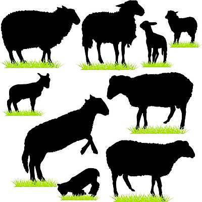 EPS 해외이미지 동물 실루엣 유럽 아시아 일러스트 포유류 발 아프리카 초식동물 치즈 털 뿔 동물원 세계 농장 귀여움 중국 가축 힘 양 호주 작음 가죽 꼬리 부드러움 양고기 양모 해외일러스트 나라 컨셉 농업 유제품 촬영기법 육류 신체부위 직물 감각 오세아니아 크기 파일형식 벡터 이미지허브