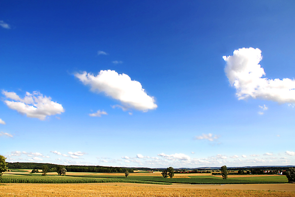 포토 JPG 해외이미지 식물 계절 유럽 길 음식 하늘색 밭 농업 자연 하늘 날씨 독일 사람없음 야외 초록색 파란색 햇빛 농경지 환경 맑음 성장 시골 분위기 땅 보리 솜털 내추럴 방법 밭일 세련 해외포토 나라 산업 컬러 컨셉 곡류 태양 농장 생태계 파일형식 이미지허브