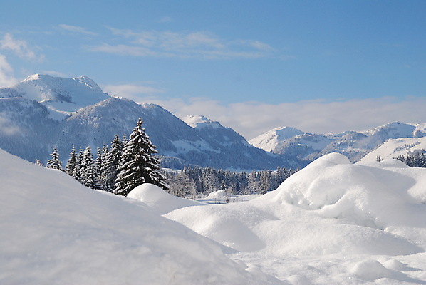포토 JPG 해외이미지 나무 계절 백그라운드 크리스마스 겨울 자연 하늘 날씨 휴가 산 풍경 사람없음 야외 목재 냉동 얼음 추위 덮개 흰색 전원 시골 숲 서리 전나무 폭설 눈내림 해외포토 자연요소 식물 기념일 컬러 재료 눈_날씨 뚜껑 전기에너지 자연재해 생태계 파일형식 이미지허브