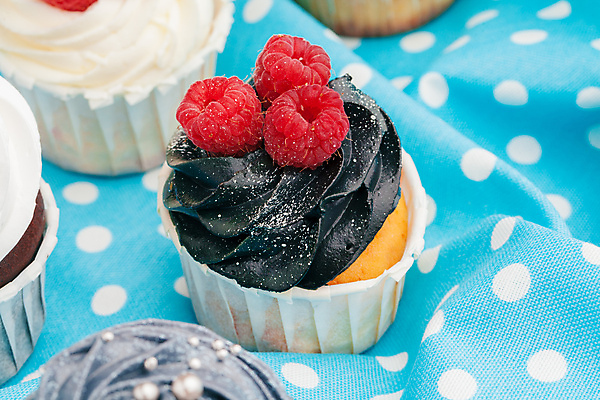 포토 JPG 해외이미지 디저트 실내 근접촬영 사람없음 물방울무늬 식탁보 컵케이크 산딸기 머핀 해외포토 음식 빵 뷰포인트 무늬 과일 내부 케이크 파일형식 이미지허브