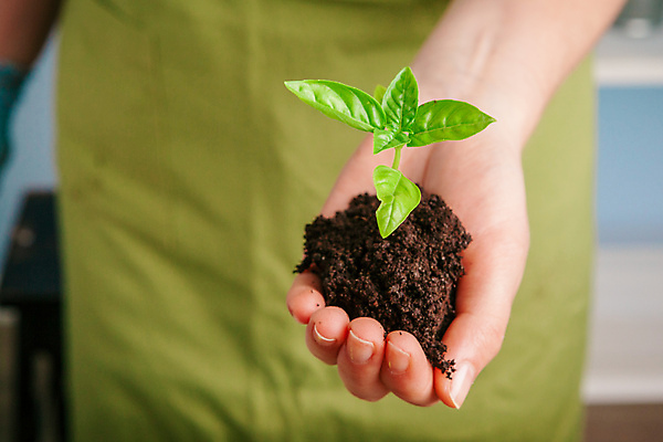 포토 JPG 해외이미지 손 여자 잎 한명 들기 성인 앞모습 신체부위 초록색 새싹 정원 흙 잡기 성인여자한명만 해외포토 식물 1 뷰포인트 컬러 모션 사람 여자한명만 성인여자만 파일형식 이미지허브