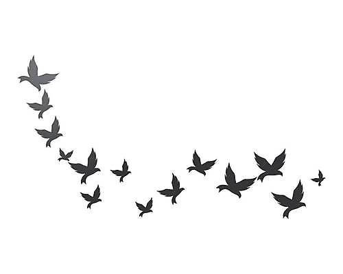 EPS 해외이미지 동물 템플릿 디자인 실루엣 백그라운드 컨셉 날개 일러스트 회사 비즈니스 자연 조류 추상 파란색 평화 자유 흰색 공작 심볼 사인 비둘기 독수리 고립 봉황 해외일러스트 컬러 무늬 촬영기법 생태계 파일형식 벡터 이미지허브