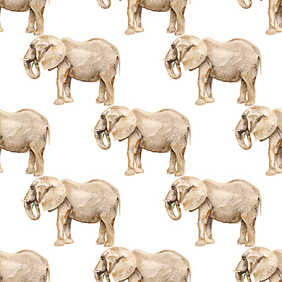 포토 JPG 해외이미지 동물 손 디자인 야생동물 백그라운드 패턴 일러스트 포유류 아프리카 자연 추상 코끼리 동물원 미술 사람없음 그래픽 갈색 머리 힘 페인트 회색 흰색 직물 큼 스케치 심볼 사파리 피부 싱글 그림 내추럴 고립 반복 현실 해외일러스트 나라 컬러 무늬 문화예술 신체부위 크기 생태계 파일형식 이미지허브