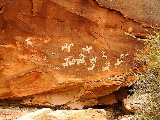 포토 JPG 해외이미지 공원 상징 여행 창문 자연 산 풍경 사람없음 야외 빨간색 초록색 강 노란색 골짜기 계곡 미국 산책 하이킹 사막 탐험 바위 황무지 부식 아치 좁은 사암 내추럴 서쪽 시온산 전국 지질학 해외포토 공공시설 교육 컬러 북아메리카 레저 휴식 돌_바위 방향 생태계 파일형식 이미지허브