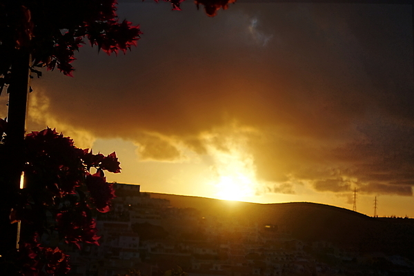 포토 JPG 해외이미지 꽃 실루엣 자연 하늘 사람없음 야외 태양 일출 정원 스페인 해외포토 자연요소 식물 유럽 촬영기법 노을 생태계 파일형식 이미지허브
