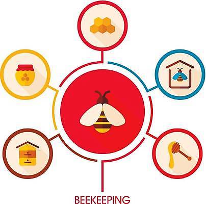 EPS 해외이미지 일러스트 비즈니스 사람없음 인포그래픽 정보 꿀 벌집 꿀단지 양봉 양봉업 양봉장 허니디퍼 목차 허니콤 해외일러스트 모양 도구 파일형식 벡터 이미지허브