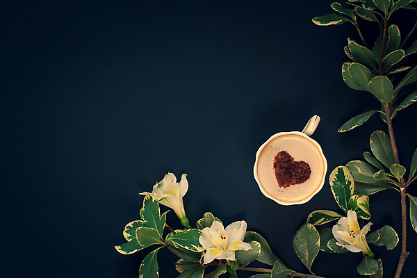 포토 JPG 해외이미지 디자인 꽃 커피 음료 백그라운드 아침 발렌타인데이 사람없음 장식 컵 가로 파란색 컬러풀 뷰티 귀여움 검은색 어둠 낭만 머그컵 나뭇가지 하트 인사 최고 뜨거움 신용카드 플랫 크림 아로마 위치 비네팅 따뜻한음료 카페인 플랫레이 카피스페이스 미니멀리스트 해외포토 주간 모양 나무 식물 식기 컬러 컨셉 데이이벤트 촬영기법 금융 공백 예절 파일형식 이미지허브