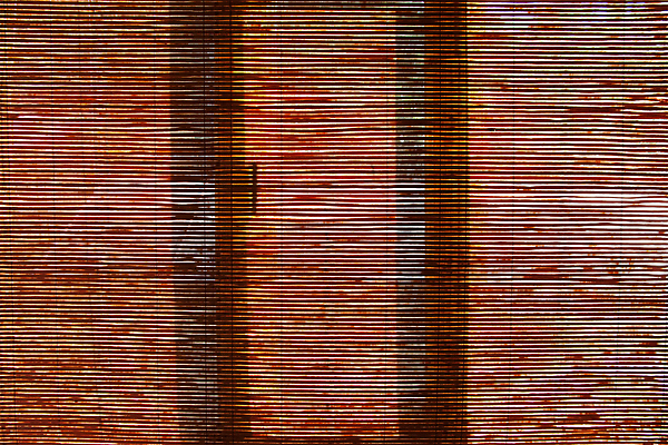 포토 JPG 해외이미지 나무 디자인 외관 산업 벽 백그라운드 패턴 자연 표면 추상 바닥 주택 프레임 사람없음 건물 목재 울타리 갈색 우주 어둠 줄무늬 판넬 거친 널 낟알 천 질감 복고 매듭 통나무 목공예 결 내추럴 수목 엘리먼트 옛날 효과 해외포토 식물 건축물 컬러 무늬 재료 담장 직물 공예 생태계 파일형식 이미지허브