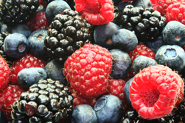 포토 JPG 해외이미지 열매 음식 과일 디저트 건강 사람없음 정원 수확 신선 달콤 먹기 블루베리 산딸기 비타민 블랙베리 해외포토 식물 농업 모션 맛 영양소 파일형식 이미지허브