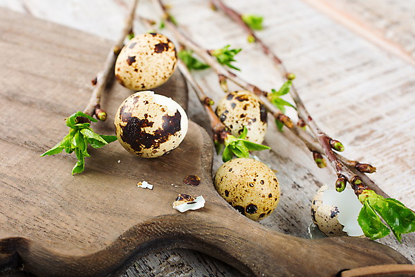 포토 JPG 해외이미지 나무 전통 디자인 계절 꽃 행복 음식 백그라운드 컨셉 잎 패턴 다이어트 재료 휴가 부활절 프레임 건강 이벤트 사람없음 목재 장식 초록색 갈색 계란 봄 흰색 나뭇가지 시골 축하 신선 신용카드 우아함 상품 4월 자르기 버드나무 심볼 유기농 질감 날것 내추럴 메추리 정물화 카피스페이스 해외포토 식물 웰빙 기념일 감정 컬러 무늬 모션 금융 알 공백 날짜 그림 파일형식 이미지허브