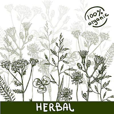 EPS 해외이미지 디자인 꽃 꽃무늬 일러스트 사람없음 스케치 허브 그림 유기농 해외일러스트 식물 웰빙 무늬 미술 파일형식 벡터 이미지허브