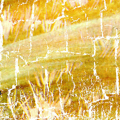 포토 JPG 해외이미지 종이 백그라운드 일러스트 추상 사람없음 그래픽 노란색 점프 페인트 손상 수확 점 얼룩 그리기 역사 균열 떨어짐 낟알 천 부식 그림 질감 복고 시트 시들음 파열 골절 구김 구식 그런지 무료 세피아 썩음 양피지 엘리먼트 옛날 해외일러스트 컬러 컨셉 무늬 농업 의학 모션 촬영기법 직물 파일형식 이미지허브