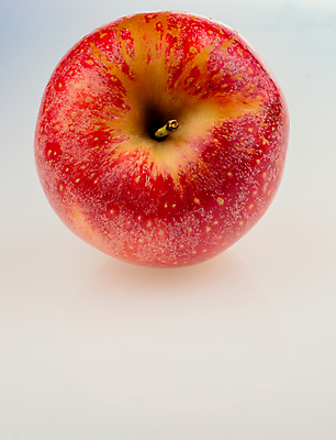 포토 JPG 해외이미지 과일 실내 사람없음 한개 사과 흰배경 해외포토 1 백그라운드 내부 흰색 파일형식 이미지허브