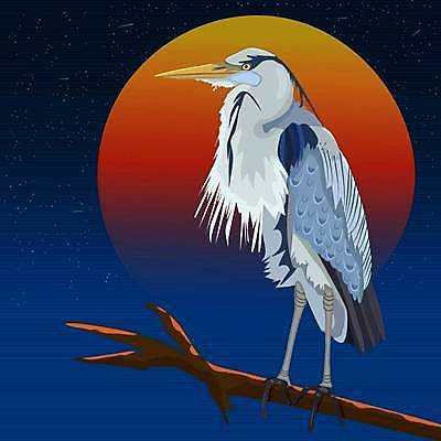 EPS 해외이미지 클립아트 동물 디자인 포스터 별 야생동물 백그라운드 날개 오렌지 일러스트 자연 조류 하늘 동양인 풍경 빨간색 파란색 컬러풀 태양 노란색 일출 일본 황혼 일몰 새벽 달 나뭇가지 인쇄 큼 만화 왜가리 심볼 기중기 사인 장면 남쪽 고립 이국적 플로리다 해외일러스트 자연요소 나무 아시아 컬러 과일 인종 노을 미국 중장비 크기 방향 생태계 파일형식 벡터 이미지허브