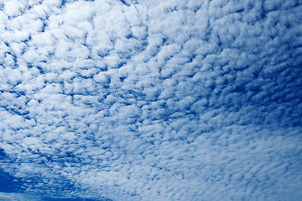 포토 JPG 해외이미지 여행 백그라운드 자연 하늘 날씨 휴가 사람없음 야외 파란색 빛 햇빛 태양 우주 환경 활발 자유 흰색 솜털 노려봄 해외포토 자연요소 컬러 컨셉 표정 생태계 파일형식 이미지허브