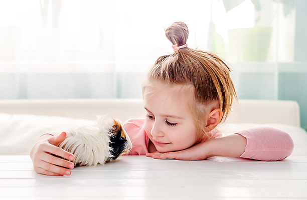 포토 JPG 해외이미지 동물 백인 손 여자 행복 어린이 백그라운드 함께함 한명 미소 소녀 반려동물 우정 기쁨 잡기 솜털 기니피그 동반자 소녀한명만 펫팸족 해외포토 서양인 1 감정 컨셉 포유류 모션 표정 사람 신체부위 친구 신조어 여자한명만 소녀만 파일형식 이미지허브
